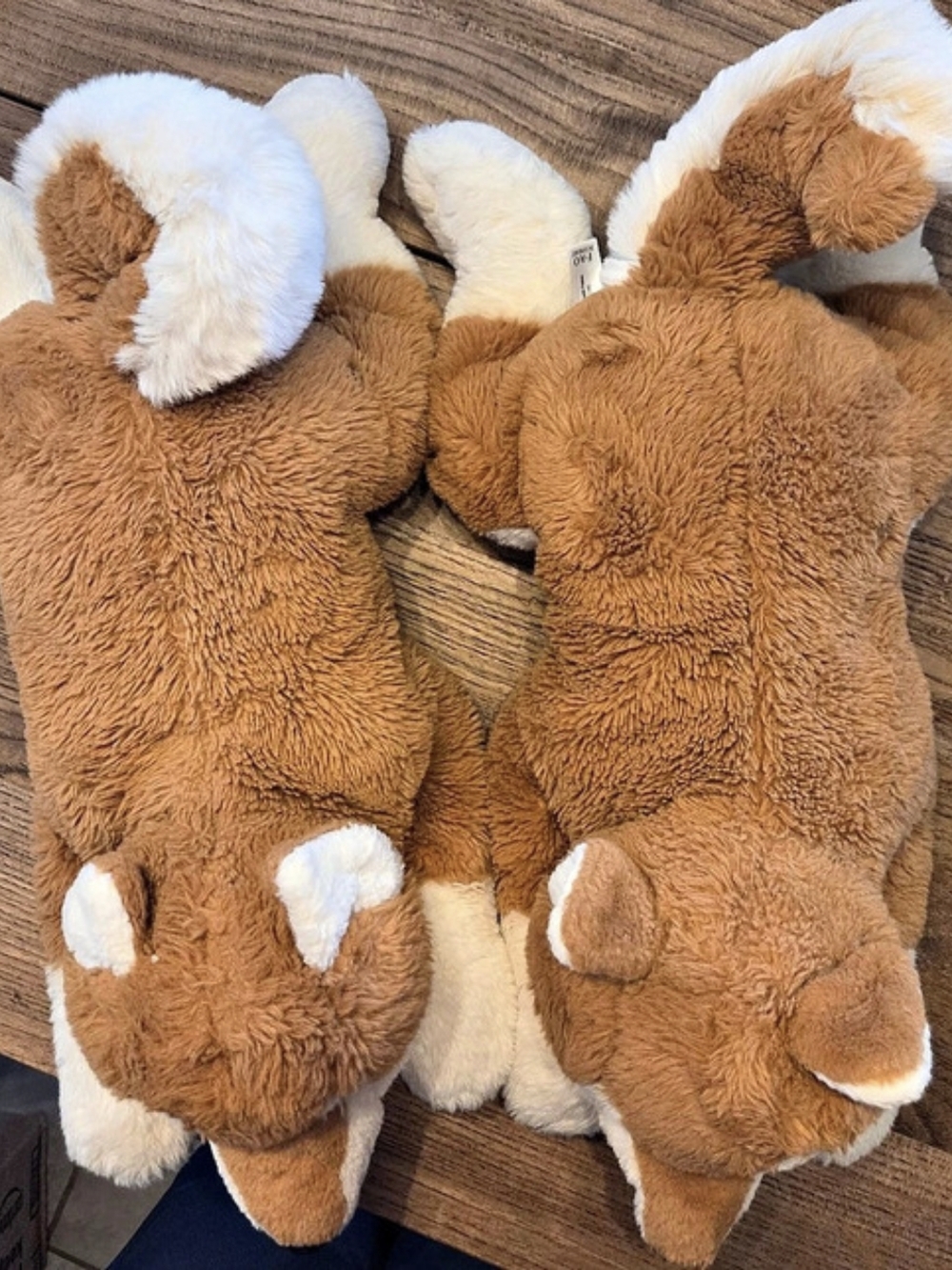 Set Of 2 FAO Schwarz Adopt-A-Pets Fox Plush Brown & White
